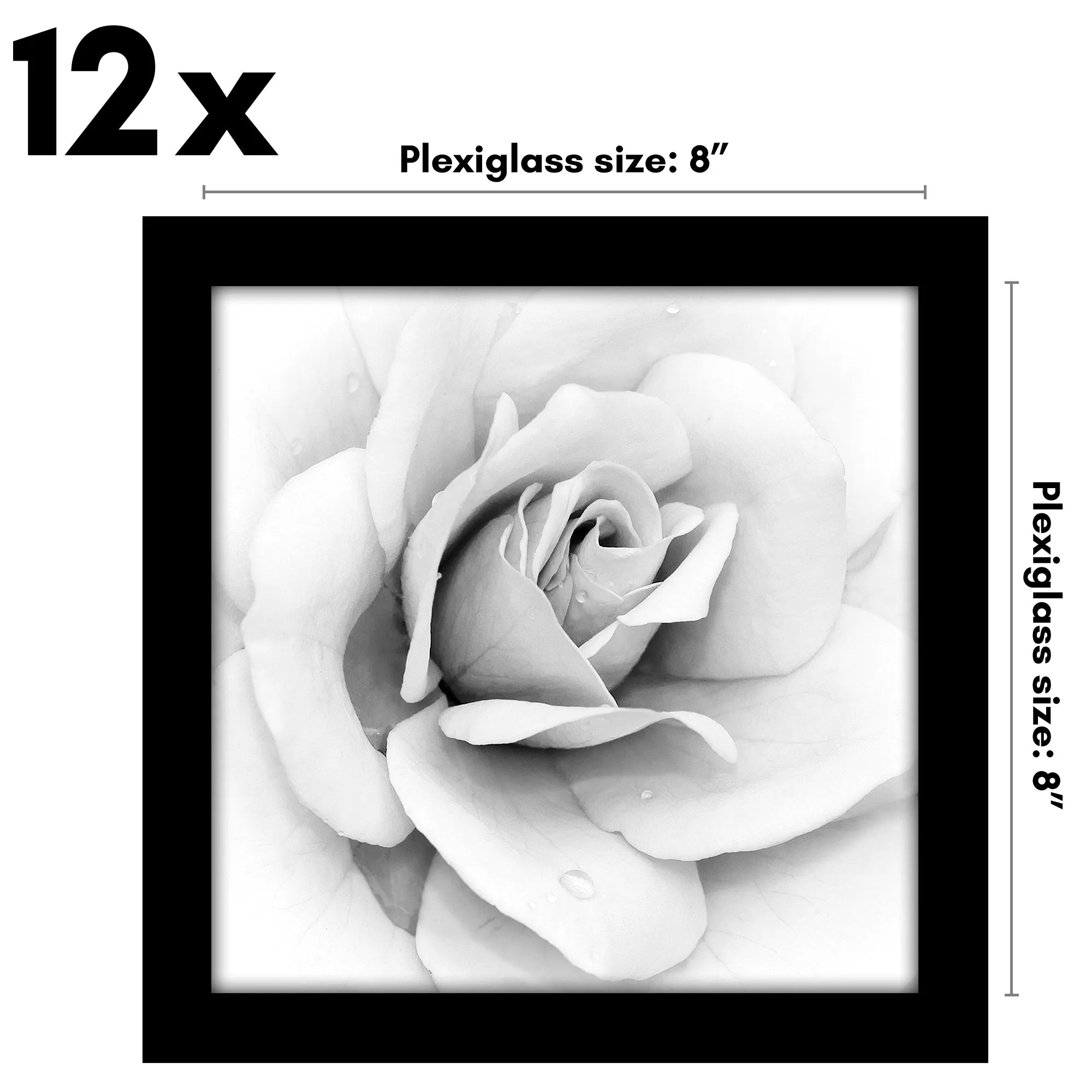 12 Piece - Gallery Wall Picture Frame Set | Black