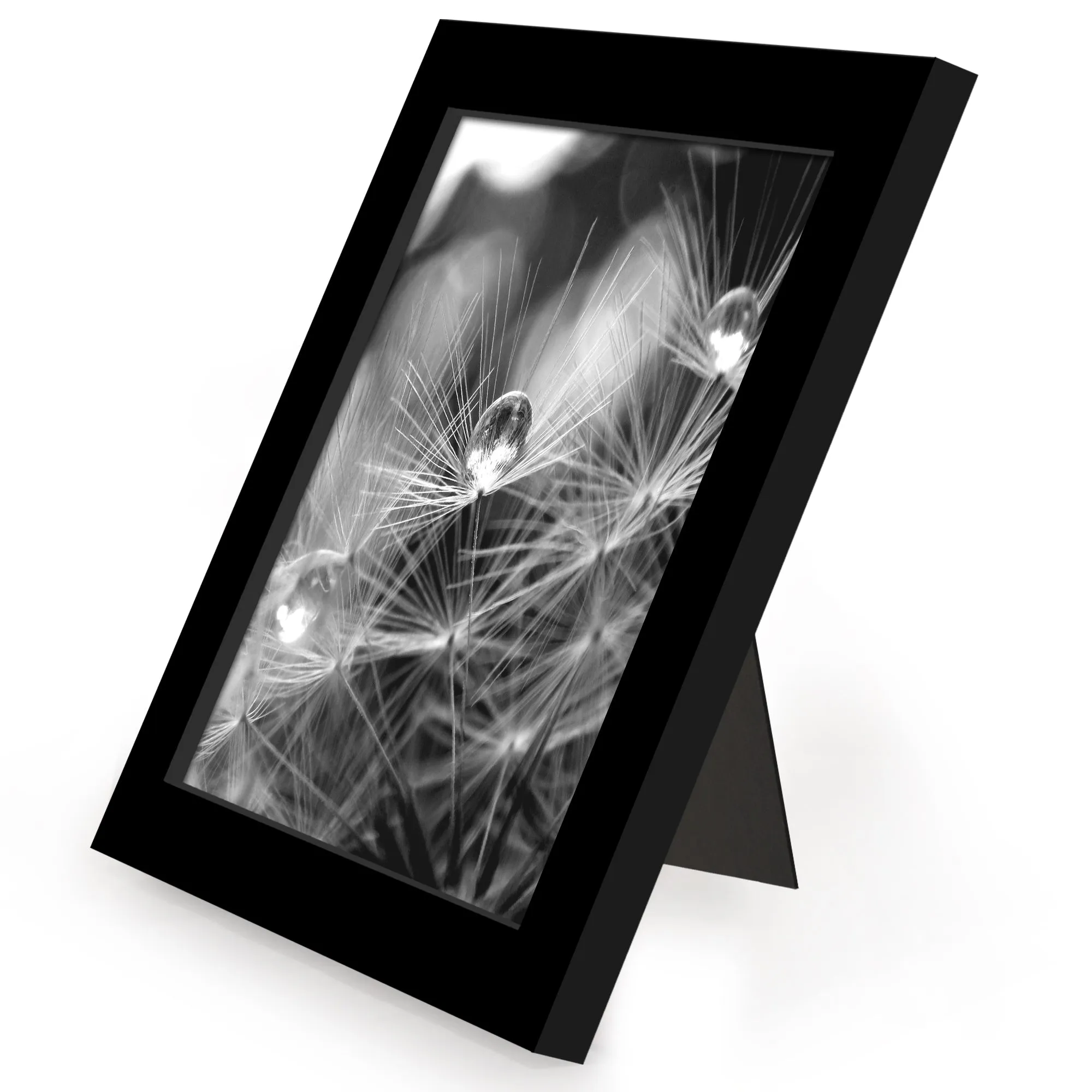 12 Piece - Gallery Wall Picture Frame Set | Black