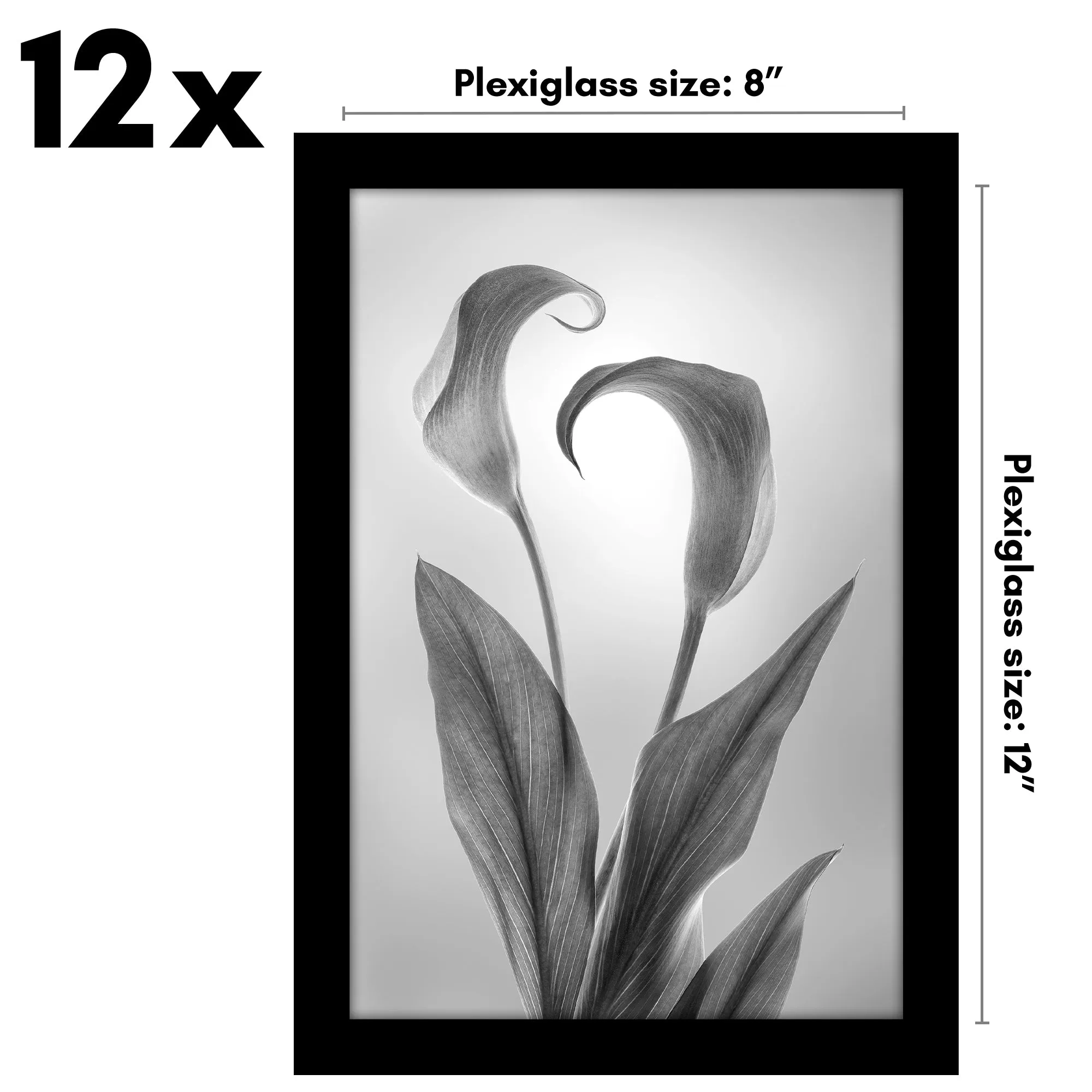 12 Piece - Gallery Wall Picture Frame Set | Black