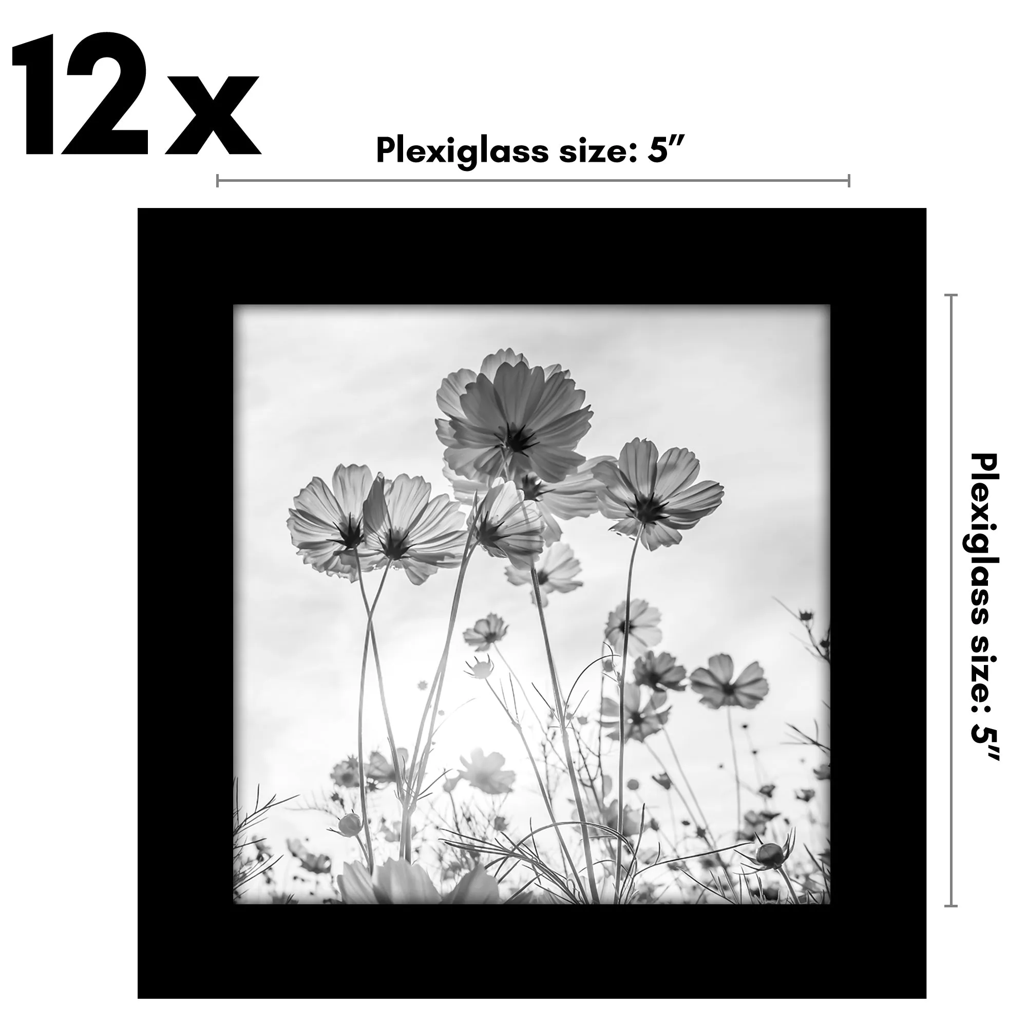 12 Piece - Gallery Wall Picture Frame Set | Black