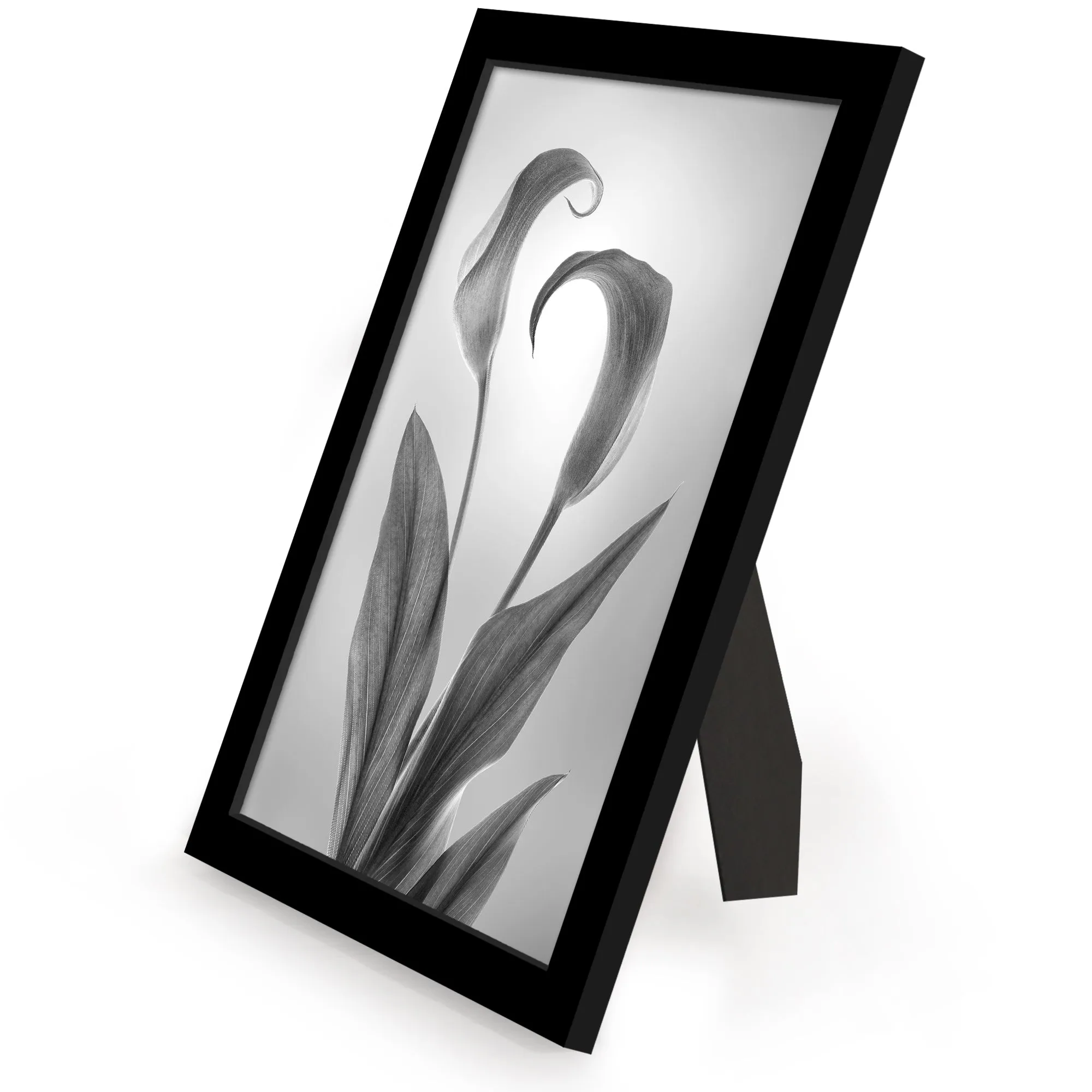 12 Piece - Gallery Wall Picture Frame Set | Black