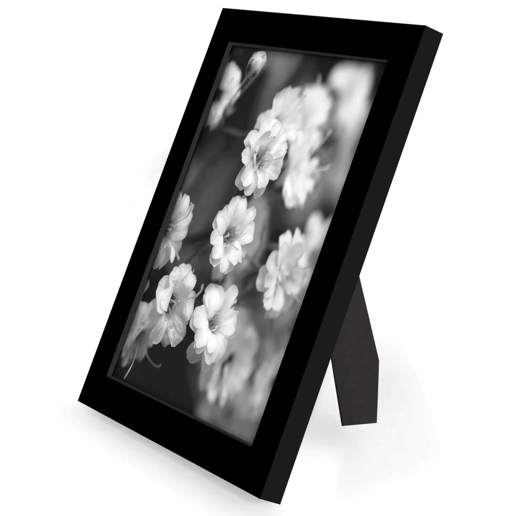 12 Piece - Gallery Wall Picture Frame Set | Black