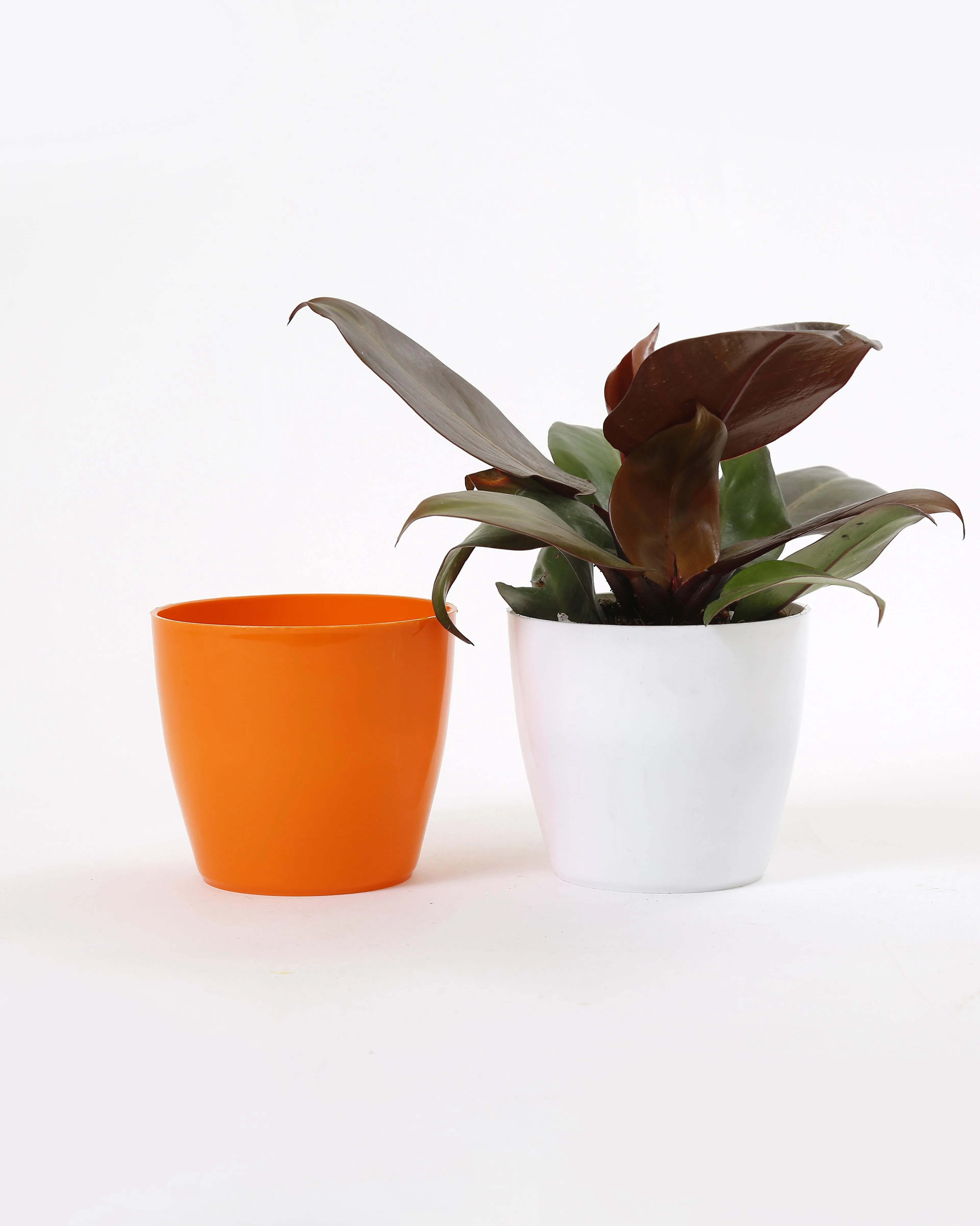 4 Inch Orange Singapore Pot (105mm)