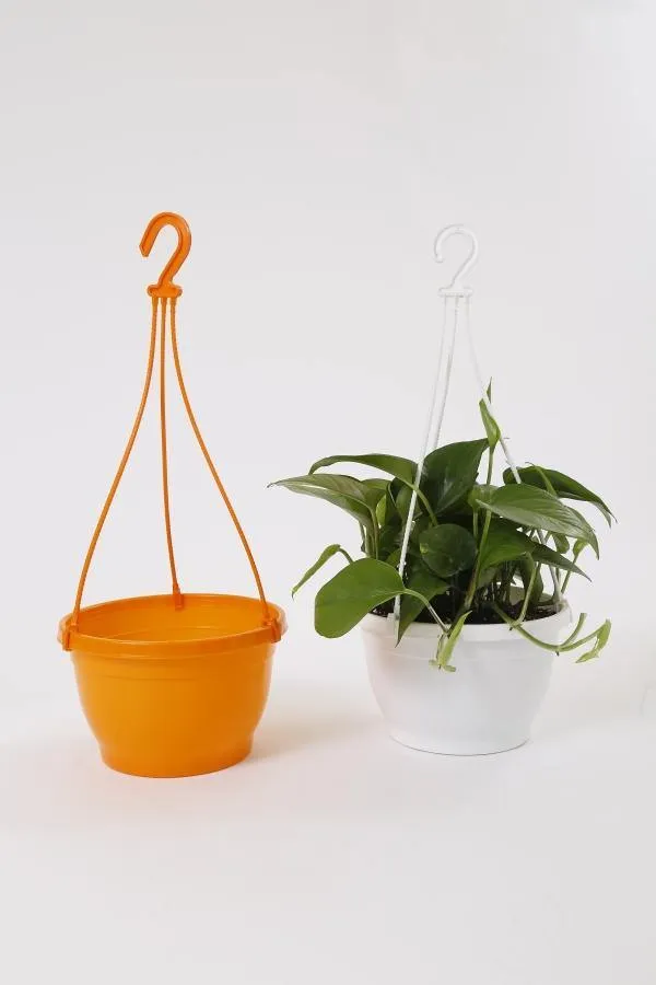 8 Inch Hanging Pot Orange