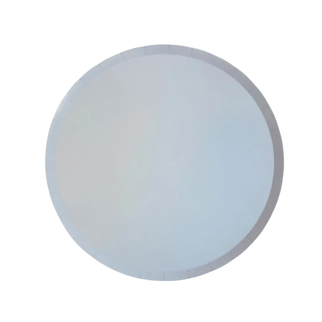 Classic Baby Blue Party Plates x 12