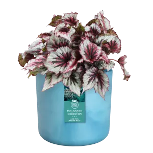 Elho Ocean Collection Atlantic Blue Recycled Waste Round Indoor Pot 18cm