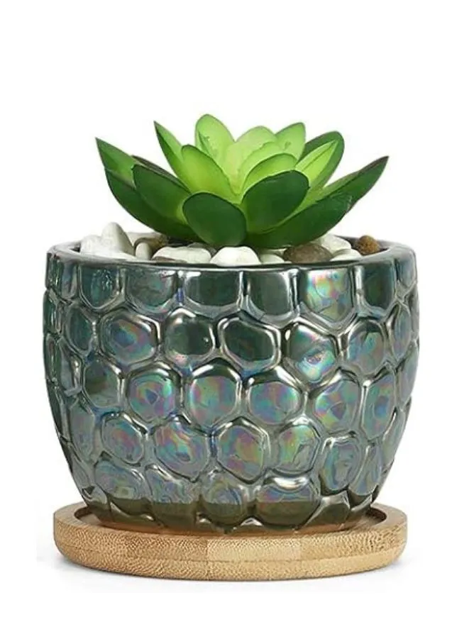 Small Textured Indoor Plant Pot With Drainage Hole and Tray (Plant Not Included)