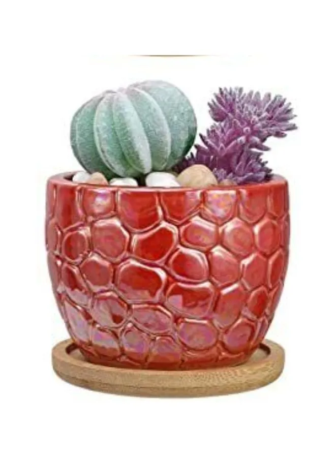 Small Textured Indoor Plant Pot With Drainage Hole and Tray (Plant Not Included)