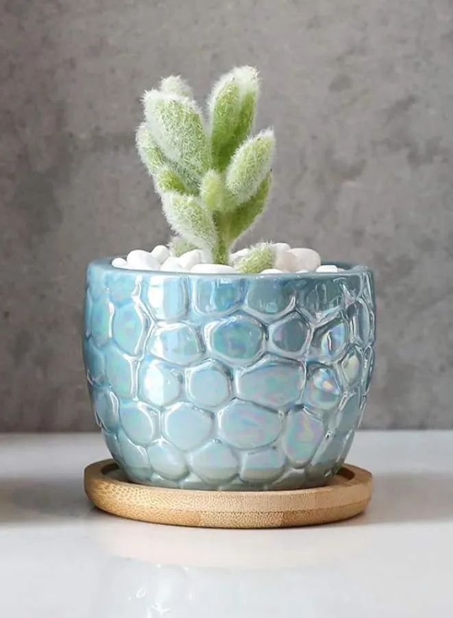 Small Textured Indoor Plant Pot With Drainage Hole and Tray (Plant Not Included)