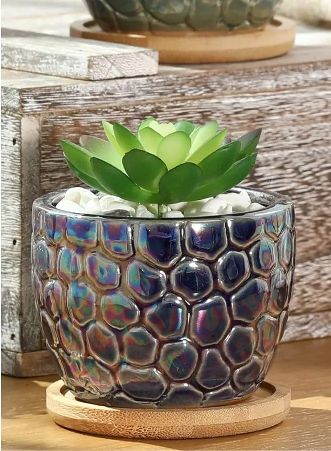 Small Textured Indoor Plant Pot With Drainage Hole and Tray (Plant Not Included)