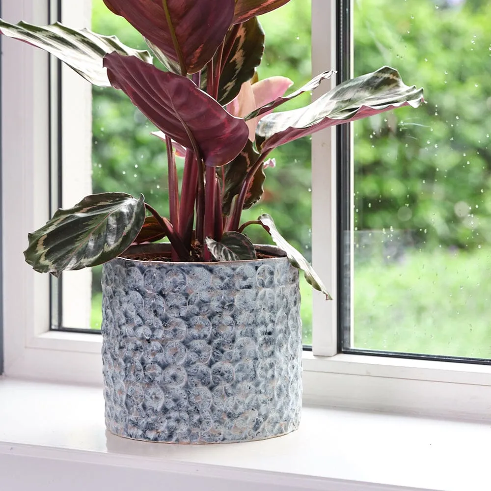 Terni Planter Denim Indoor Ceramic 18cm Pot