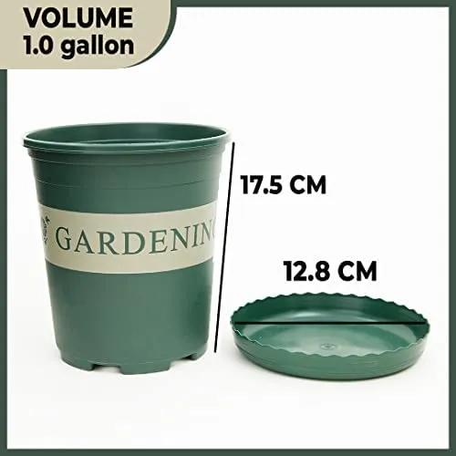 Urbane Home Plastic Plant Pot|Indoor & Outdoor Plant Pot with Tray|Durable & Lightweight|Water Drainage Holes|Plastic Flower Pot for Patio, Garden, Home, & Office|JL-1617|Mini|Green