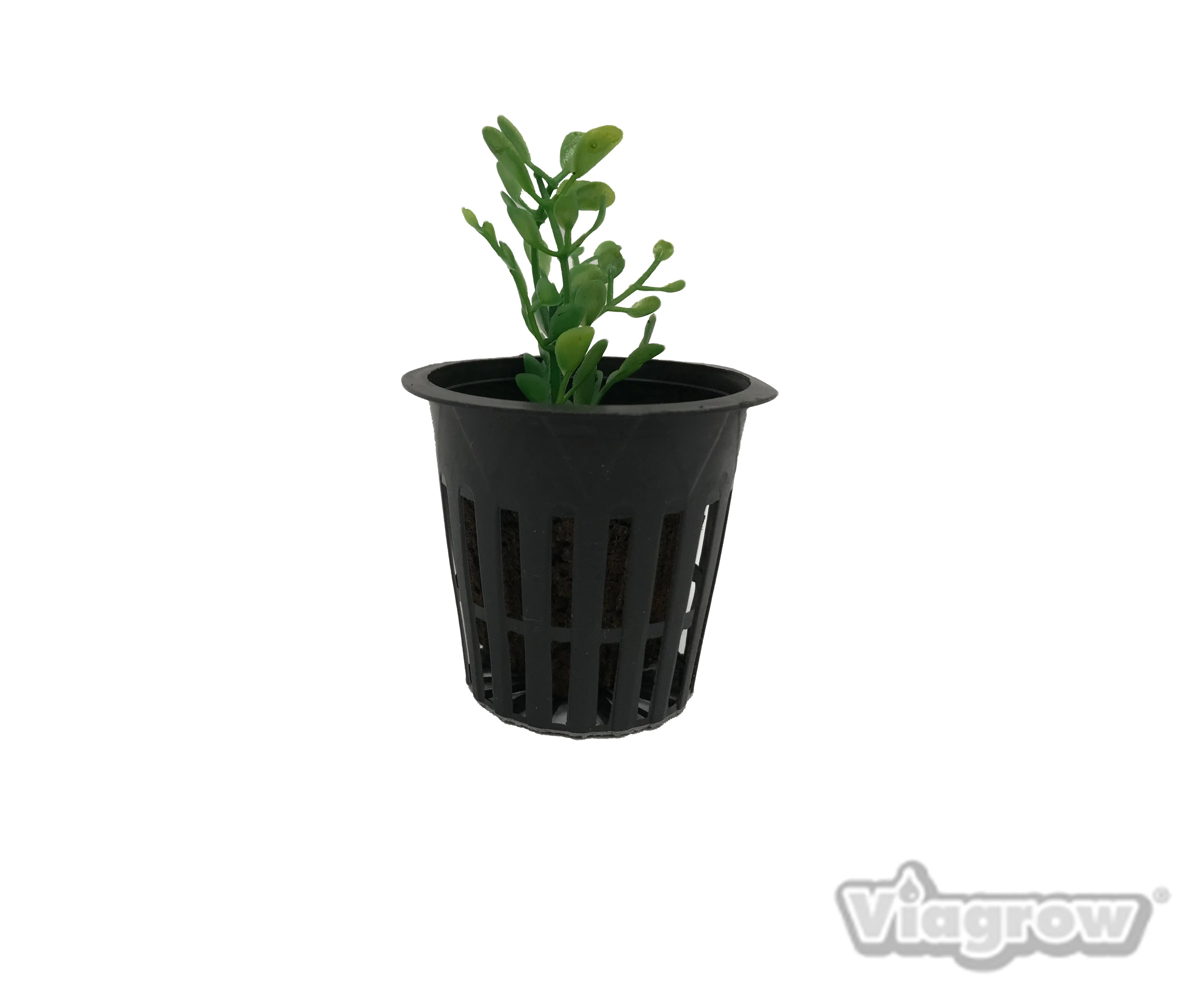 Viagrow Net Pot 2", Black (Case of 72)