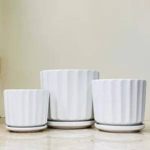 White Sculpted Ceramic Pot Set with Saucers (Set Of 3)